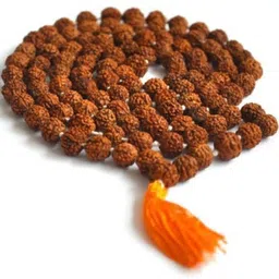 Divine souvenirs Brown Alloy Necklace-17