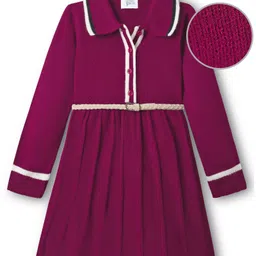 Hola Bonita Knitted Full Sleeves Textured Fabric Sweater Dress With Belt - Plum-picture-13