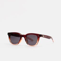 THE BEAR HOUSE Men Wayfarer Sunglasses-image-81