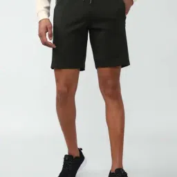Van Heusen Flex Green Regular Fit Striped Shorts-image-71