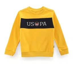 U.S. Polo Assn. Kids Dark Yellow Color Block Full Sleeves Sweatshirt-picture-7