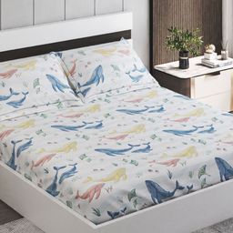 Home Centre White & Blue Abstract Printed Cotton 150 TC Queen Bedsheet Set 2.54m x 2.28m-image-61