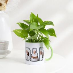 Father's Day Personalized Money Plant In A Mug-image-57