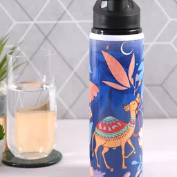 PENTADECO Blue Single Aluminium Printed Single Wall Vacuum Water Bottle-image-6