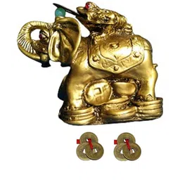 APNA KANHA Gold-Toned Figurine Showpiece-image-7
