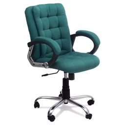 Ergonomica Green fabric Prudencia Medium Back Ergonomicanomic Office Executive Chair-picture-35