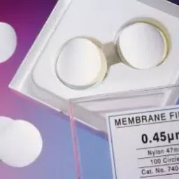 Whatman 50 mm Dia,0.2uM Pore Size Nylon Membrane Circle 7402-009-29