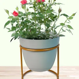 Nymph Blue Flower Planters With Stand-image-91