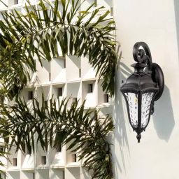 Whispering Homes Dark Brown Metal Bosom Outdoor Wall Light-image-81