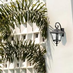 Whispering Homes Dark Brown Metal Mandible Outdoor Wall Light-image-44