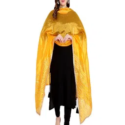 Karthav Fashion Ethnic Motifs Embroidered Dupatta-picture-11
