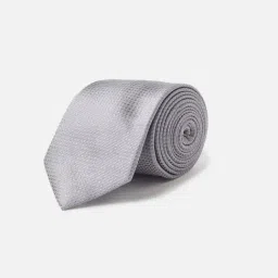 Allen Solly Grey Textured Formal Tie-picture-38