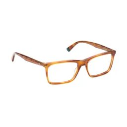 Web Eyewear Brown Rectangular Eye Frames for Men image 4