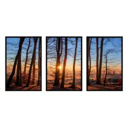 999store Brown & Blue Printed Sun Set Forest Paintings - Set of 3 image 2
