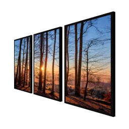 999store Brown & Blue Printed Sun Set Forest Paintings - Set of 3 image 3