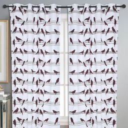 Dekor World Brown Set of 2 Window Curtain-10