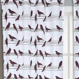Dekor World Brown Set of 2 Window Curtain image 3
