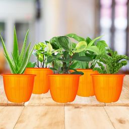 8 Inch Duro Pot for Plants with Saucer Tray-24