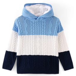 Pine Kids Full Sleeves Tricolor Hooded Sweater - Multocolor-image-88