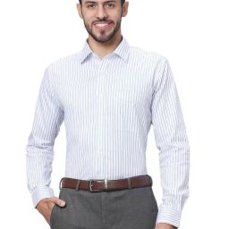 Raymond Blue Cotton Slim Fit Striped Shirt-picture-11