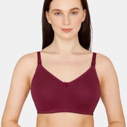 Zivame Maroon Non Wired Non Padded Maternity Bra-picture-39
