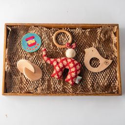 Toy Trunk Pvt Ltd - Playful Development kit - toy box containing 3 multicolor toys.-89