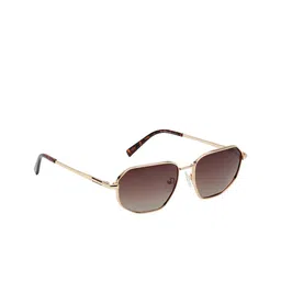 KOSCH ELEMENTE Men Brown Lens & Gold-Toned Rectangle Sunglasses with-picture-39