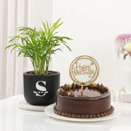 Personalized Lush Plant And Birthday Cake Combo-image-2