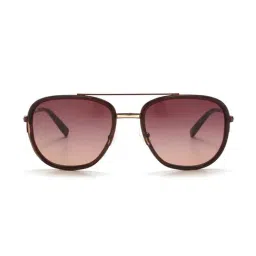 Tommy Hilfiger TH2589 Light Brown Gradient Aviator-22