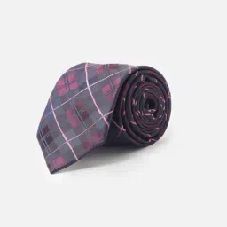 Allen Solly Purple Checks Casual Tie-picture-11