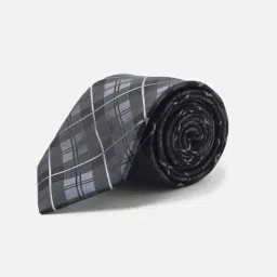 Allen Solly Grey Checks Casual Tie-picture-37