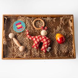 Toy Trunk Pvt Ltd - Playful Trio - This toy box contains 3 multicolor toys.-image-46