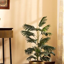 Elemntl Green 1 Pieces Palm With Pot-38