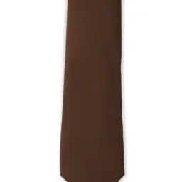Van Heusen Brown Tie-image-61
