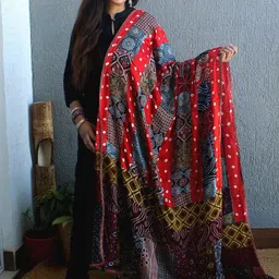 Weaves of Tradition Ethnic Motifs Printed Block Print Dupatta with Patchwork-14