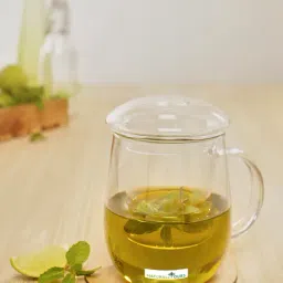 NATURALLYOURS Borosilicate Glass Cup with Tea Coffee Infuser - 300 ml-image-35