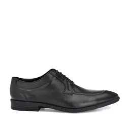 Carlo Romano Men's Black Derby Shoes-picture-38