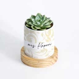 Nature's Gem - Echeveria Succulent With Pot - Personalized-image-94