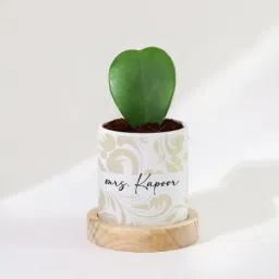 Hoya Heart Plant With Pot - Personalized-image-83