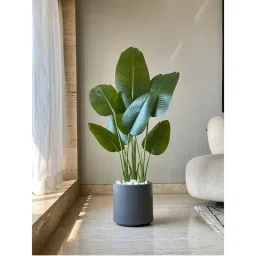 Mason Home Dark Grey Oasis Planters-picture-41