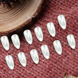 PRIVIU Set Of 12 Reusable Chromatic Nail With Application Kit - Chrome-3