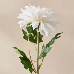 Home Centre White 1 Pieces Dahlia Artificial Flower-4