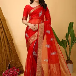 Panzora Ethnic Motifs Embroidered Sequinned Organza Saree-picture-24