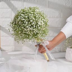 Softly Into Forever With Gypsums-image-30