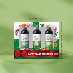 Thriving Greens Plant Care Trio-image-12
