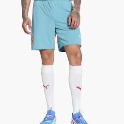 Puma Blue Regular fit Manchester City 24/25 Football Shorts-image-44