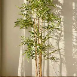 Mason Home Green Pvc Bamboo Artificial Plant - 5 Feet-image-30
