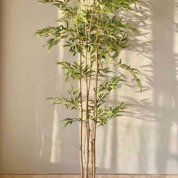 Mason Home Green Pvc Bamboo Artificial Plant - 6 Feet-image-79