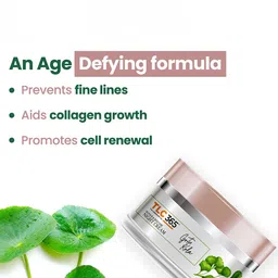 TLC 365 Gotu Kola Anti Ageing Night Cream - 50 g image 2
