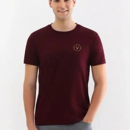 Allen Solly Maroon Regular Fit T-Shirt-image-29